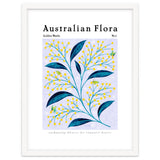 Australian Flora: Golden Wattle thumbnail