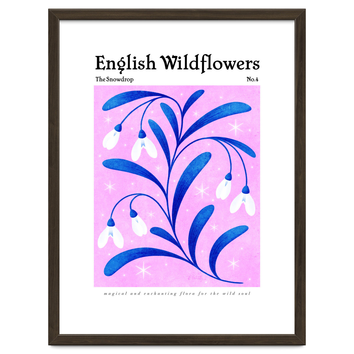 English Wildflowers | Snowdrops