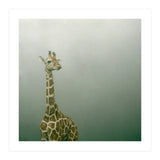 Silence of breath - 08 (Print Only) thumbnail