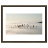 Misty Peaks: Pine Forest Above the Clouds thumbnail