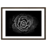 Backyard Flowers In Black And White No 101 thumbnail