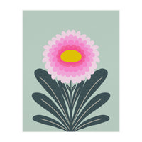 Chrysanthemum - turquoise and pink (Print Only)