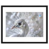 Close-up of a White Peacock thumbnail