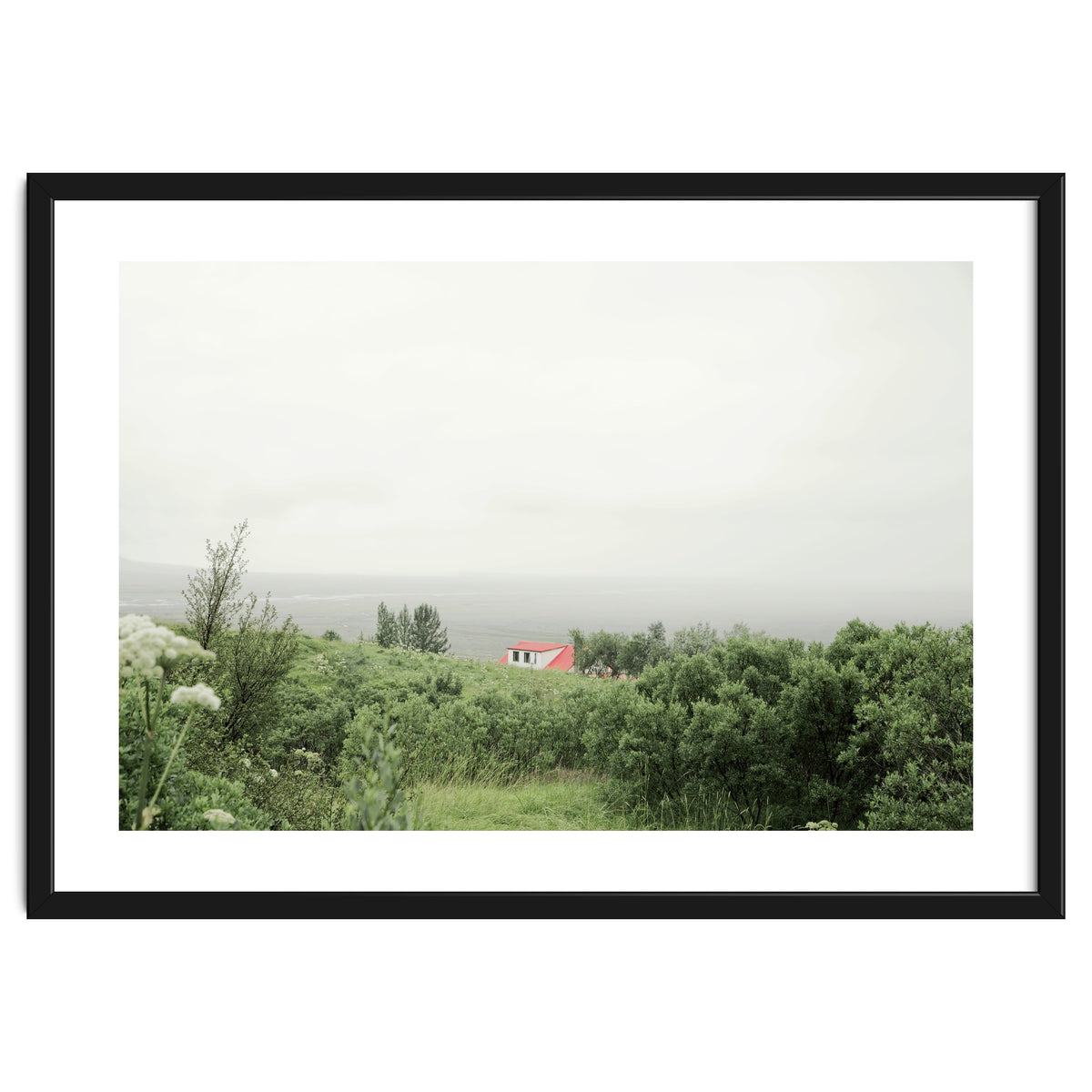 Red Roof house in between the summer green field - Iceland