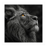 Majestic Lion Face Closeup Golden Eyes Black (Print Only) thumbnail