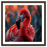Vibrant Flamingo Close Up Portrait Outdoor Nature thumbnail