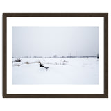 Drinking fountain covered with snow thumbnail