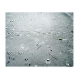 Frozen ice pond (Print Only) thumbnail