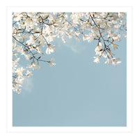 Symphony Blues (Print Only)