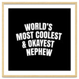 World's most coolest and okayest nephew thumbnail