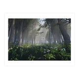 Art In The Forest (Print Only) thumbnail