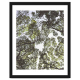 Mother Nature thumbnail
