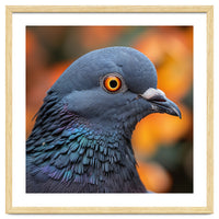 Close Up Of A Pigeon's Head And Neck