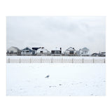 A seagull and snow covered houses (Print Only) thumbnail