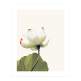Alive (Print Only) thumbnail