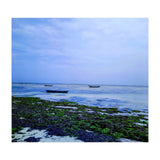 Ocean Beach At Low Tide (Print Only) thumbnail