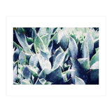 Cactus Garden (Print Only) thumbnail