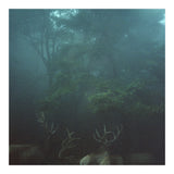 Silence of breath - 12 (Print Only) thumbnail