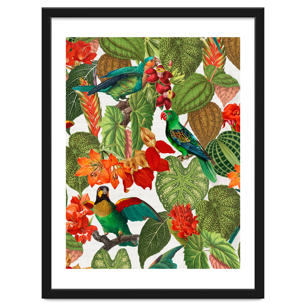 Tropical Parrots In Flower Jungle