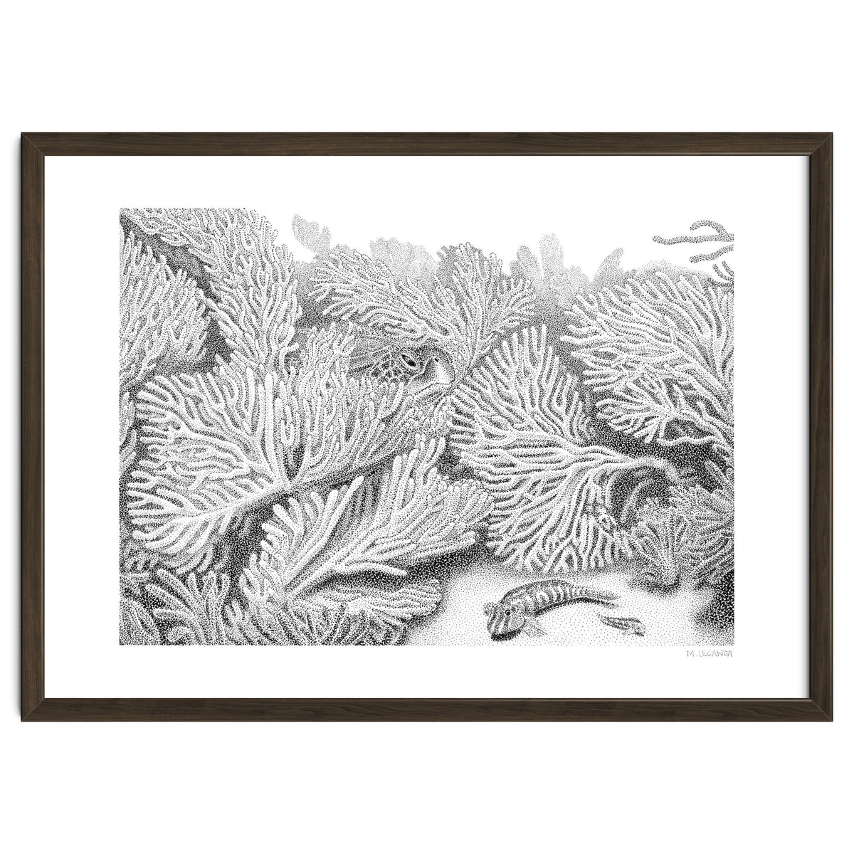 Hidden in plain sight