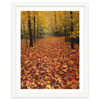 Ethereal Autumn Forest Path