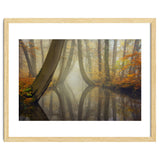 Bent trees in autumn thumbnail