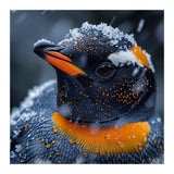 Close Up Penguin In Snow With Water Droplets (Print Only) thumbnail