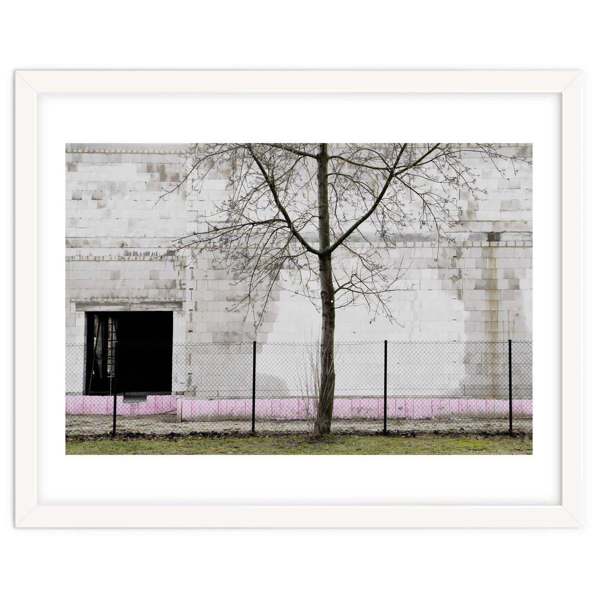 A tree in front of the wall