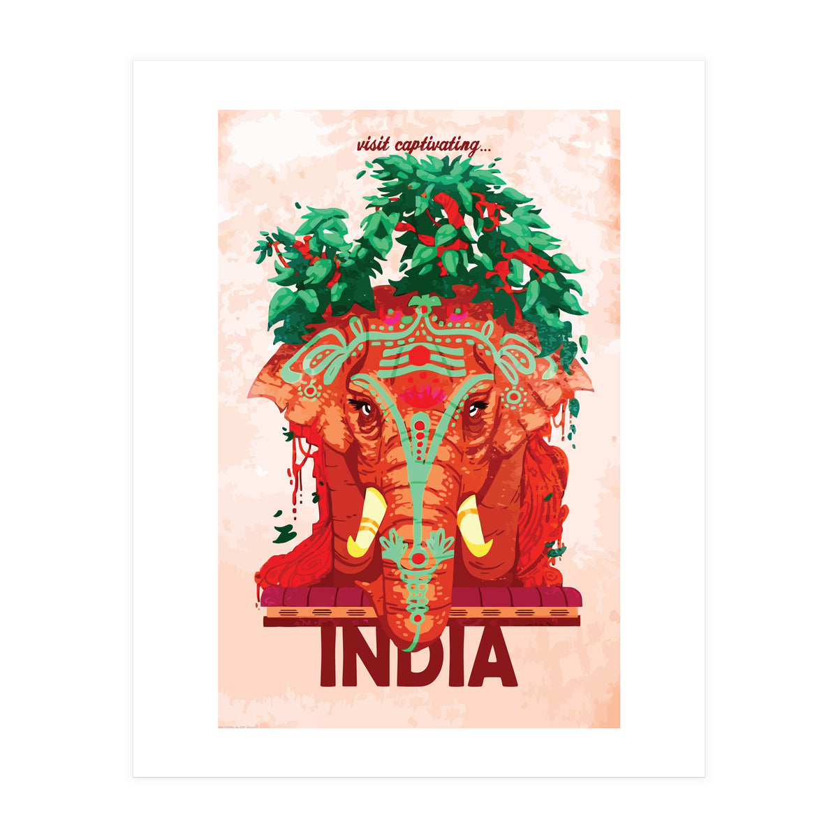 Captivating India (Print Only)