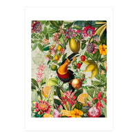 Toucan vintage jungle 1 (Print Only)
