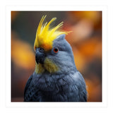 Close-up Portrait of a Yellow Cockatoo in the Wild. (Print Only) thumbnail