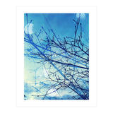 Winter (Print Only) thumbnail