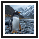 Gentoo Penguin Standing On A Rocky Shore thumbnail
