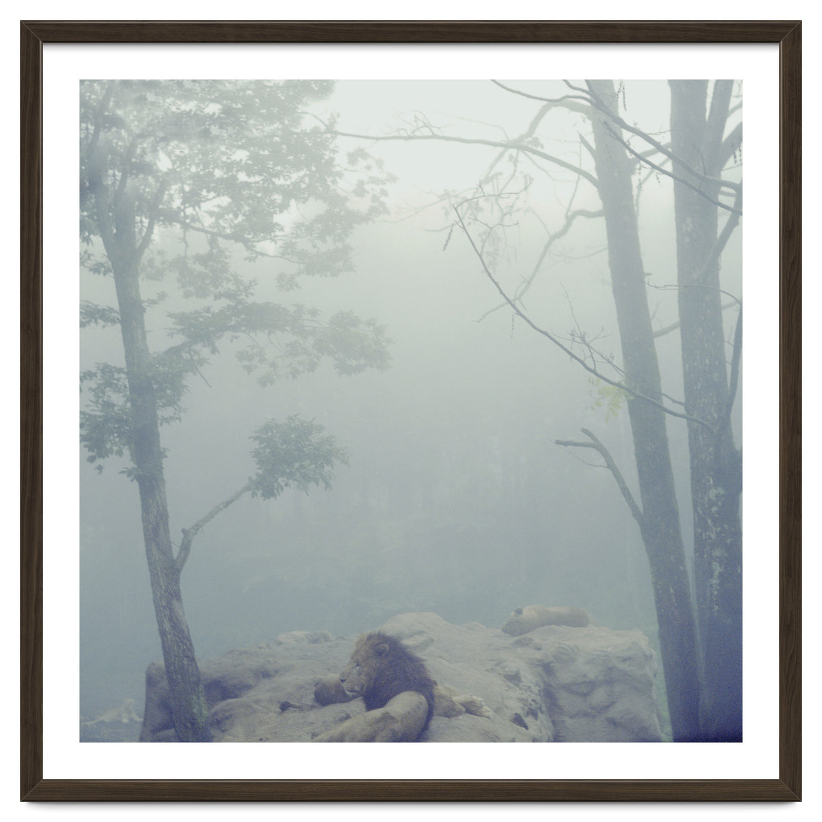 Silence of breath - 02