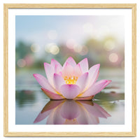 Ethereal Lotus Bloom: Serene Botanical Reflection