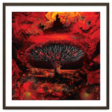 Socotra Dragon Blood tree thumbnail