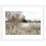 Abandoned Sofa in the middle of nowhere thumbnail