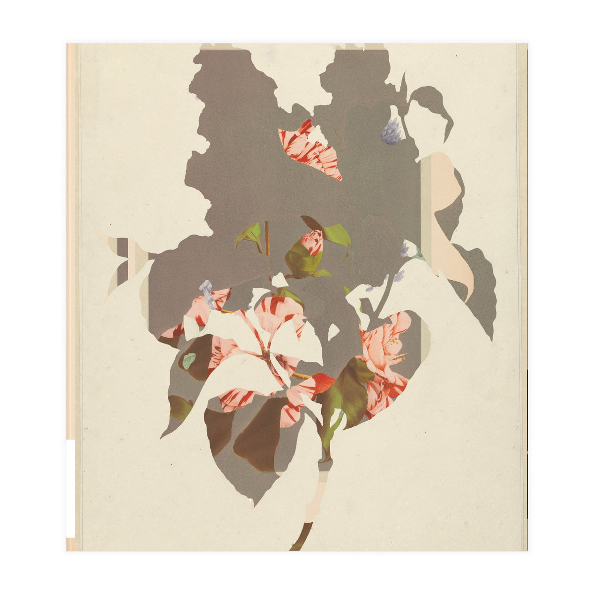 The First Plant · M2 (Print Only)