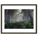 Art In The Forest thumbnail