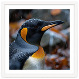 King Penguin In Rain With Water Drops thumbnail
