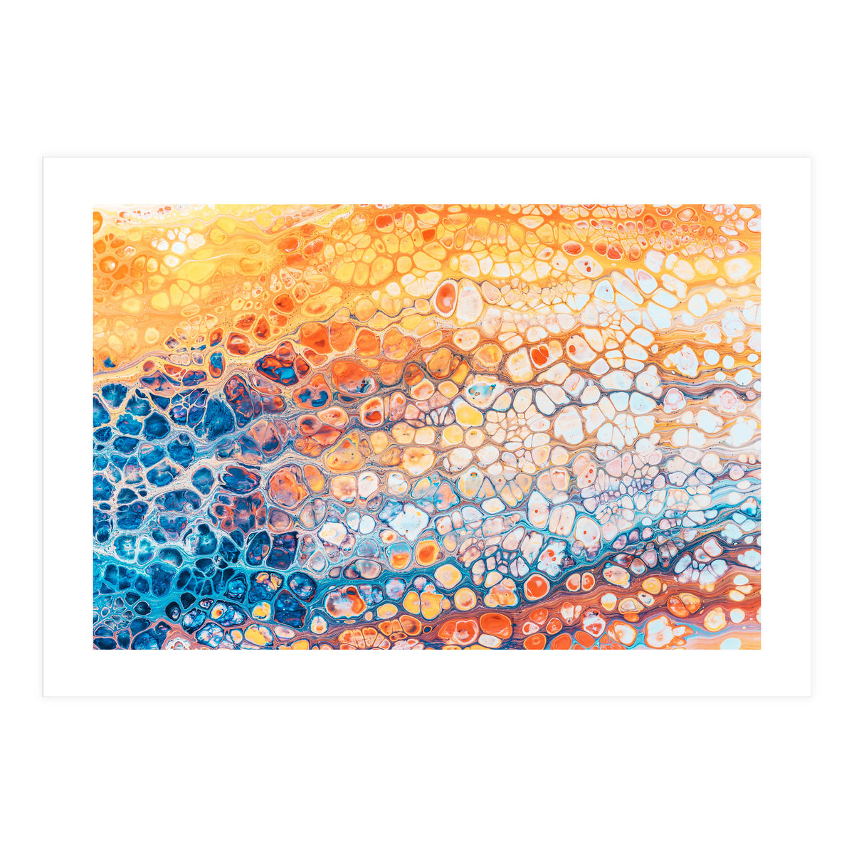 The Bright Side (Print Only)