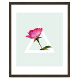 Rose thumbnail