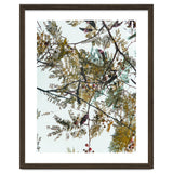 Patterns In Nature thumbnail