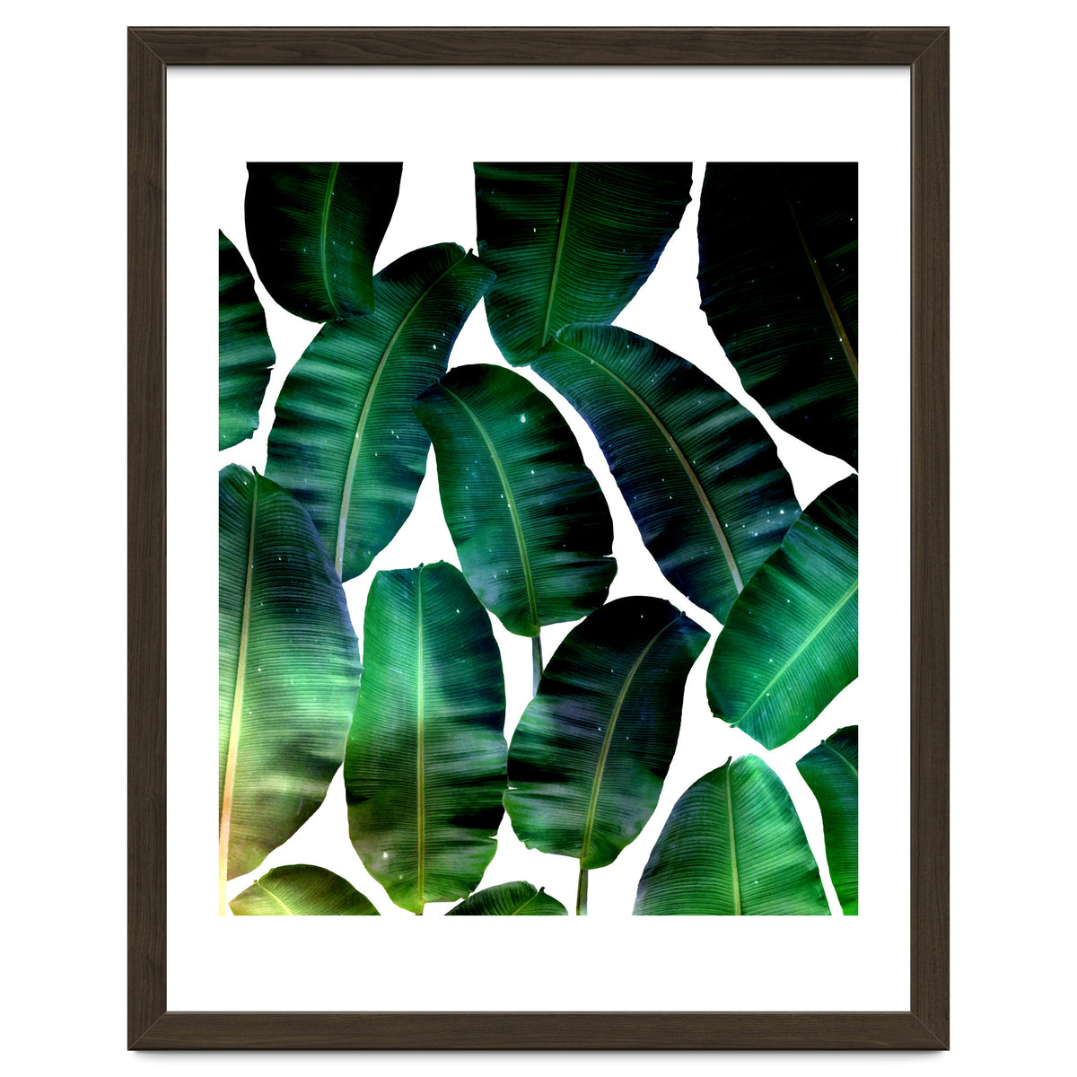 Cosmic Banana Leaves