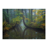The bent trees (Print Only) thumbnail