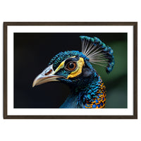 Close-up of a Peacock’s Head