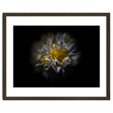 Backyard Flowers No 25 Color Flow Version thumbnail