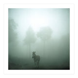 Silence of breath - 01 (Print Only) thumbnail