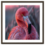 Pink Flamingo Bird Close Up Portrait thumbnail
