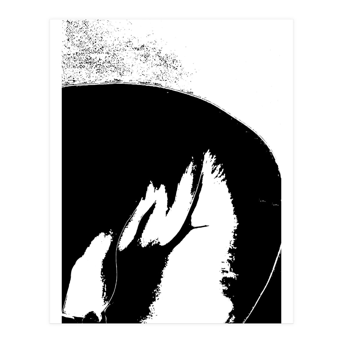 Black & White Study III (Print Only)